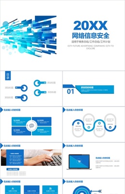 从经典案例到实战策划 企业网络营销的致胜之道